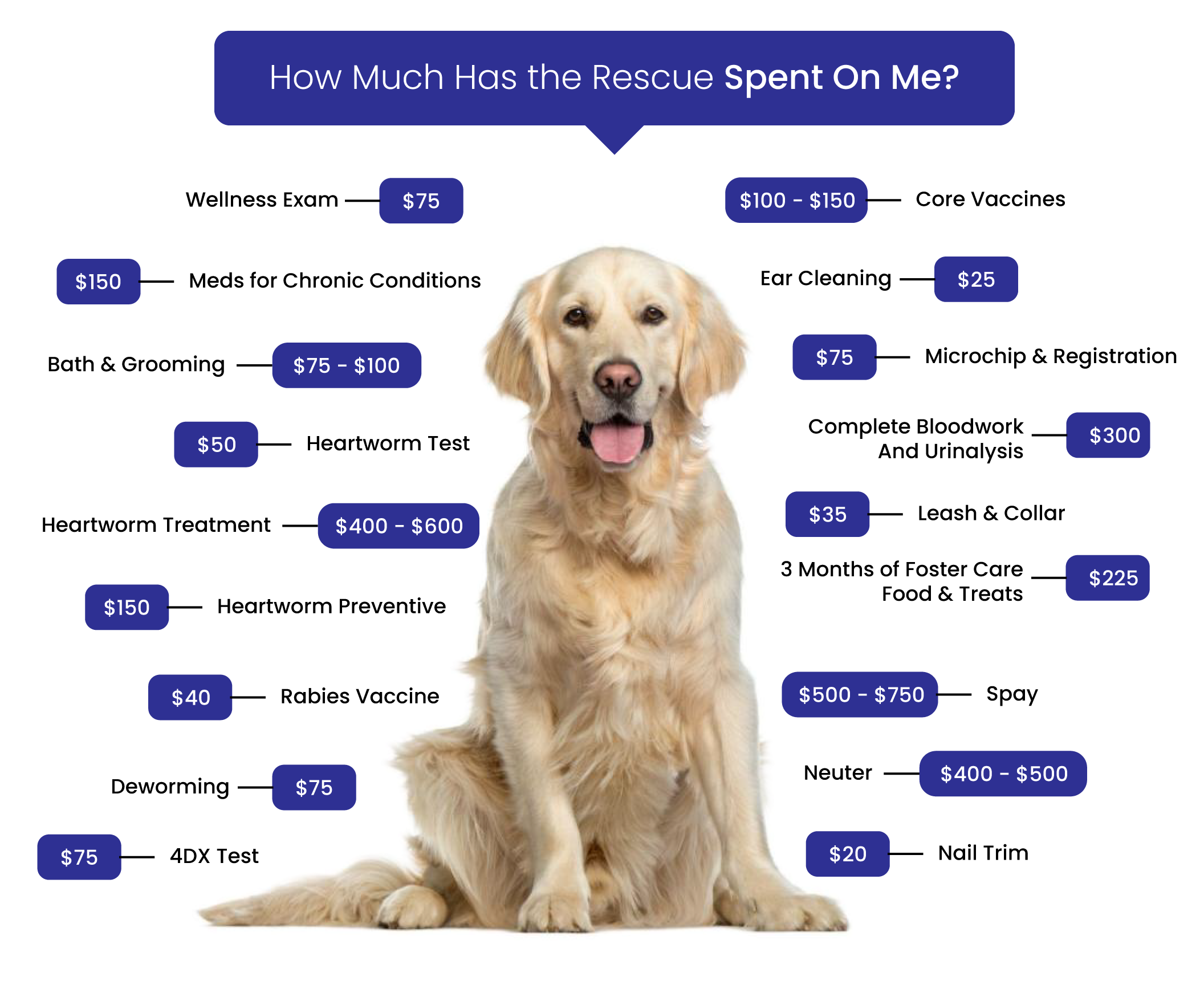 Graphic showing many of the fees the rescue spends on a dog.